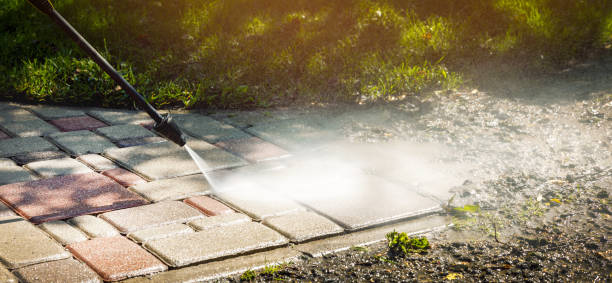 Best Solar Panel Cleaning  in Greenville, TX